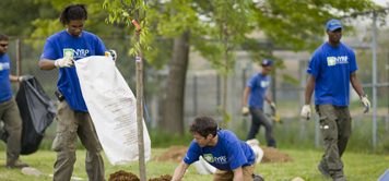 NYRP planting trees